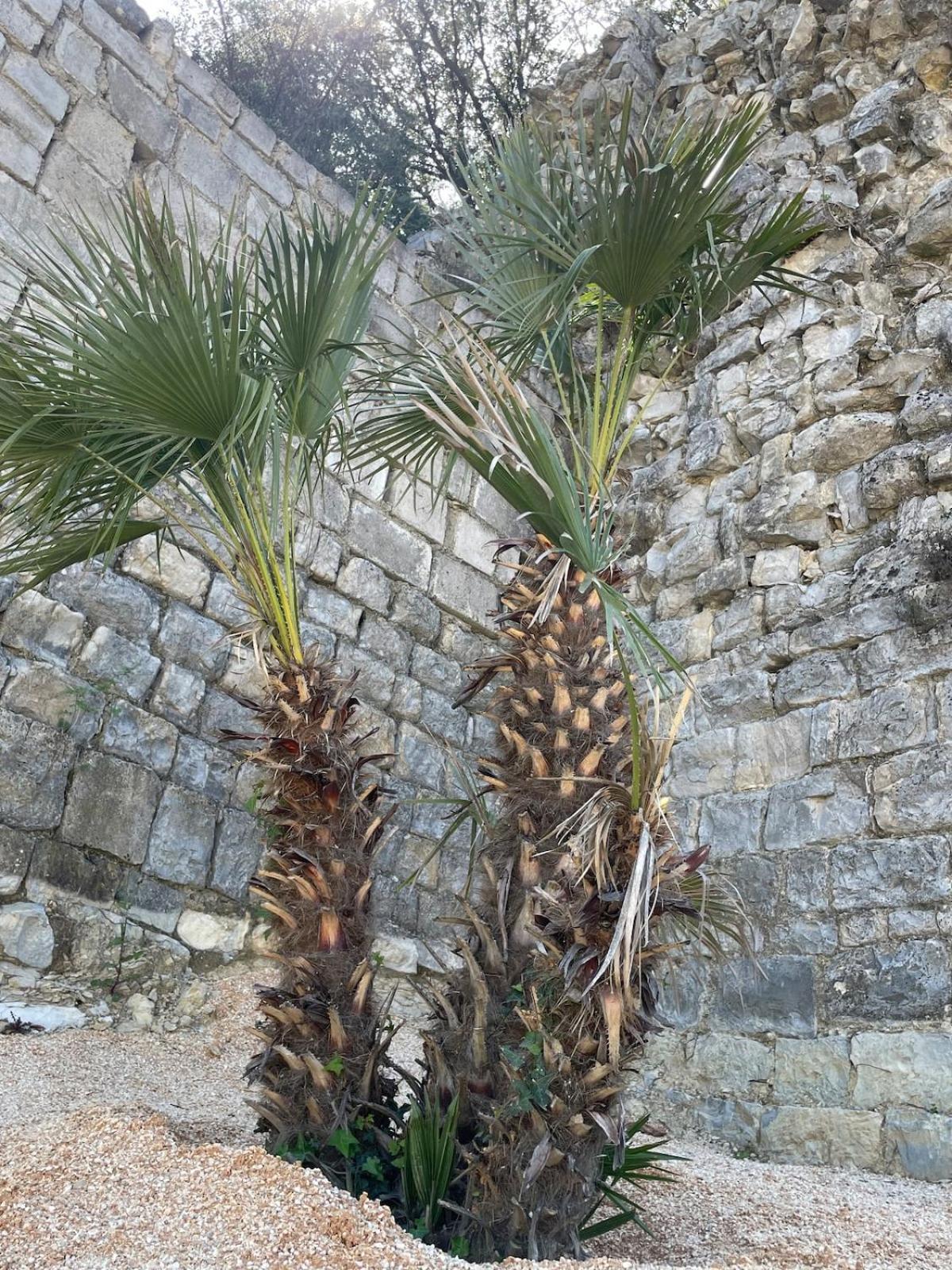 Le Castellas - Gite En Pleine Nature Montmirat Экстерьер фото